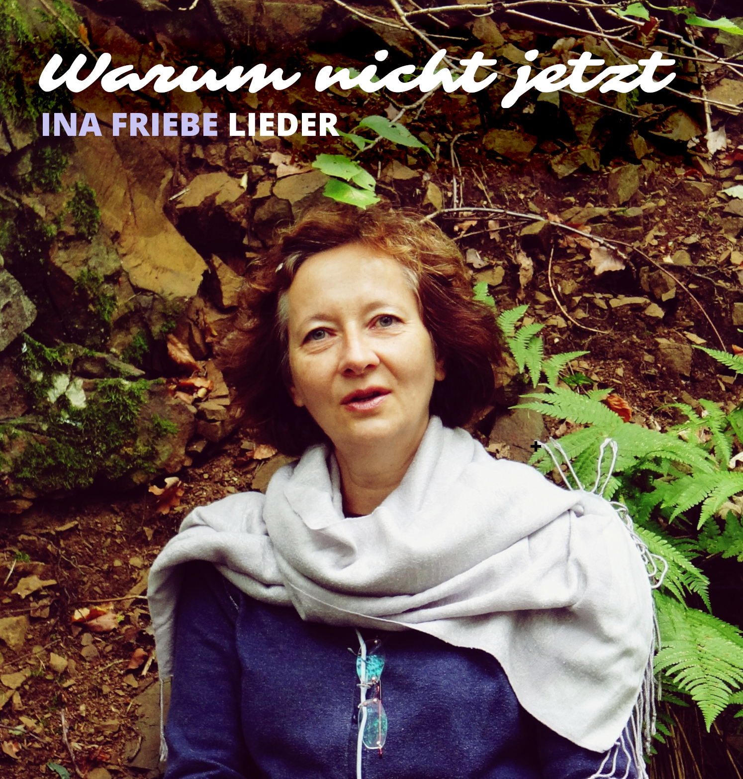 Cover Ina Friebe Warum nicht jetzt